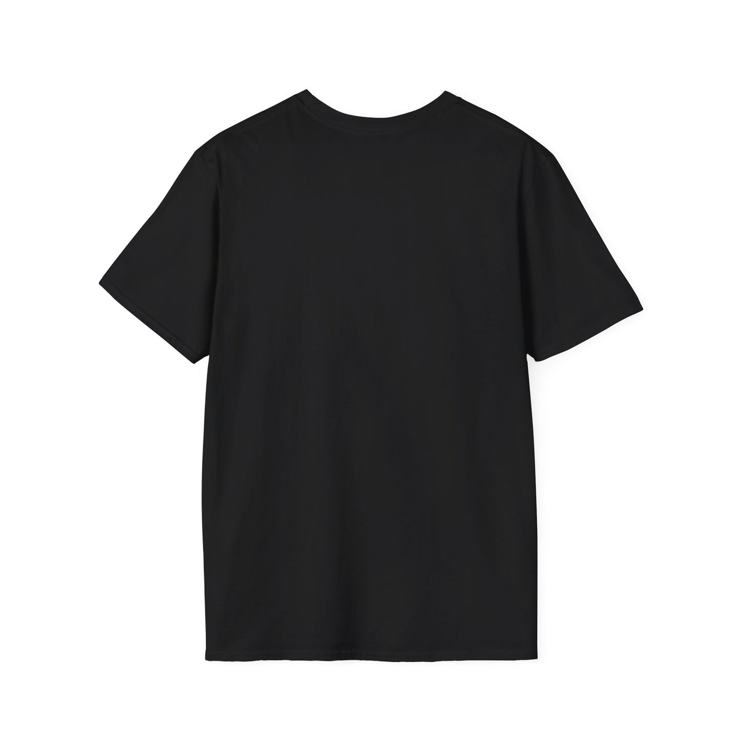 Stay the Course Unisex Softstyle T-Shirt, Motivational Apparel, Inspirational Gift, Workout Shirt, Unisex Tee, Everyday Wear