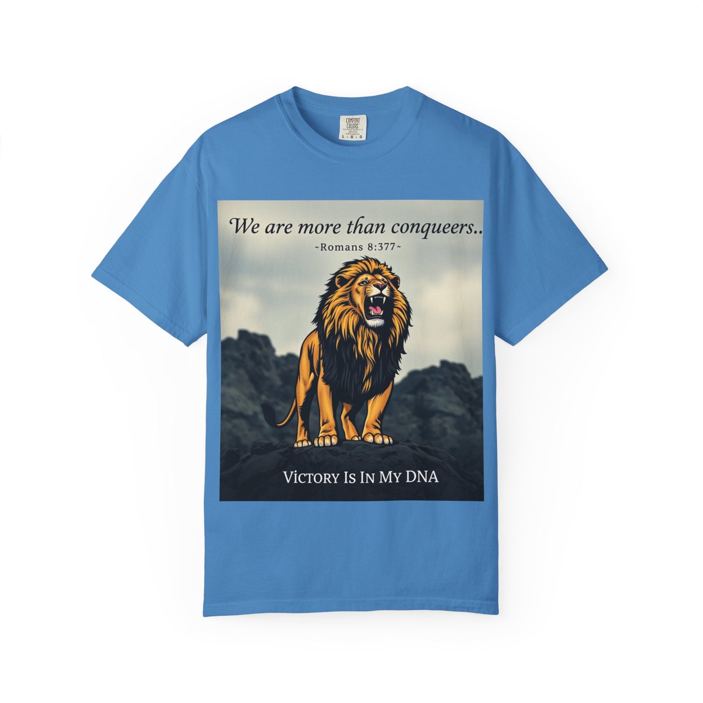 T-Shirt- Motivational/ Inspirational