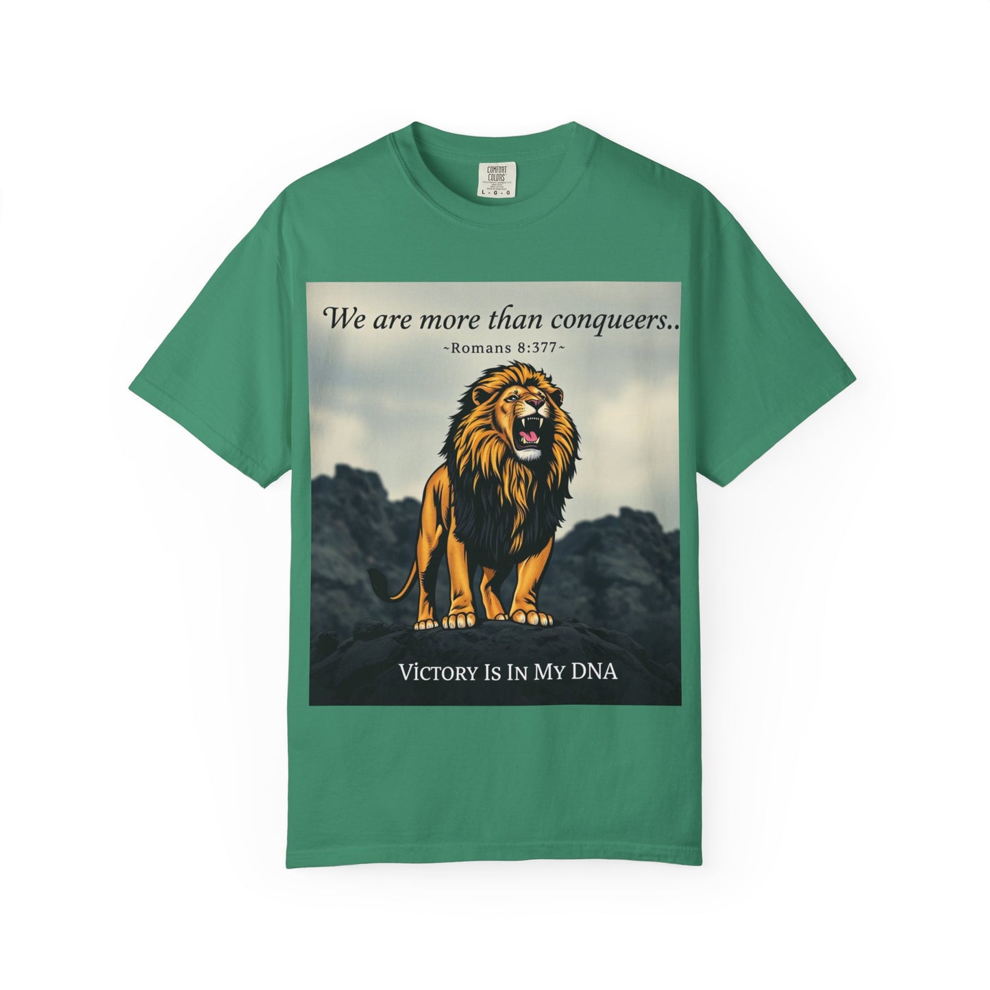 T-Shirt- Motivational/ Inspirational