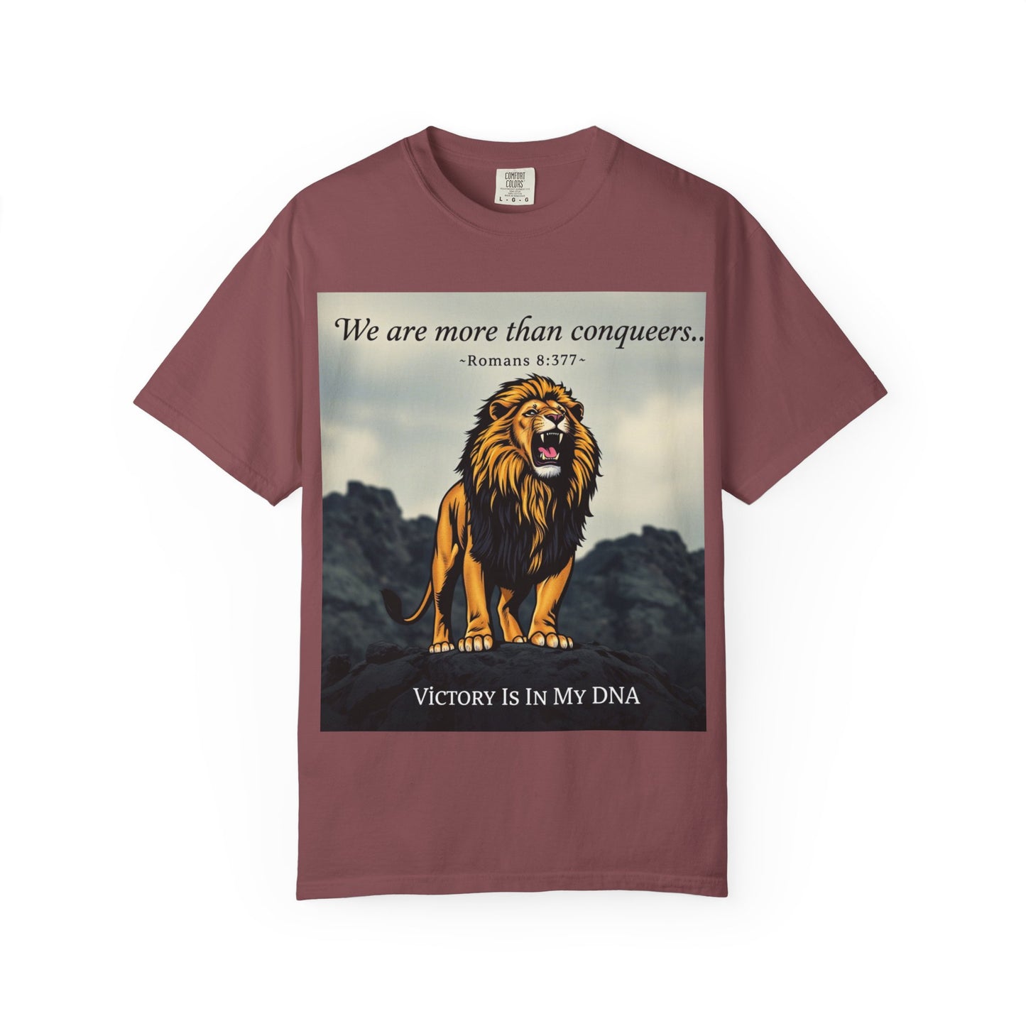 T-Shirt- Motivational/ Inspirational