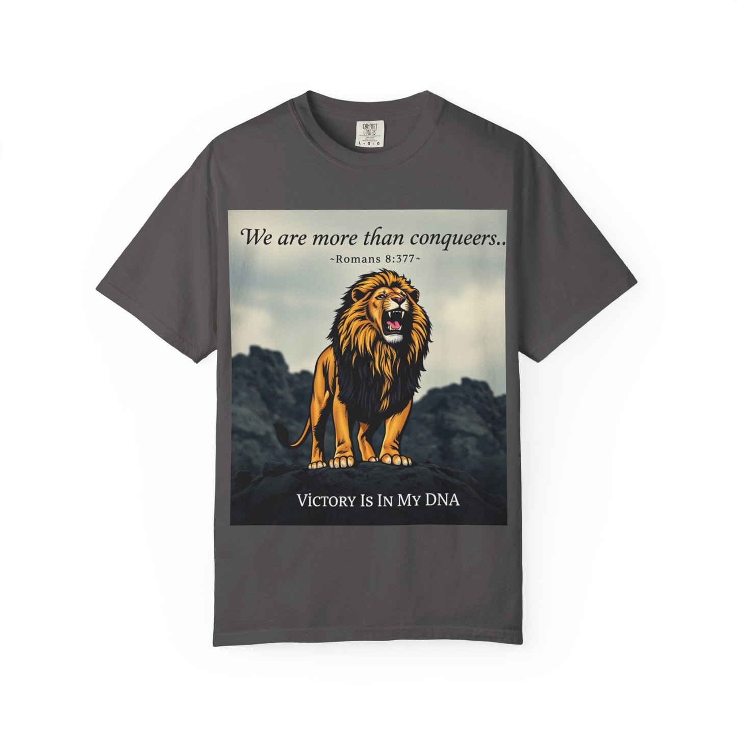T-Shirt- Motivational/ Inspirational