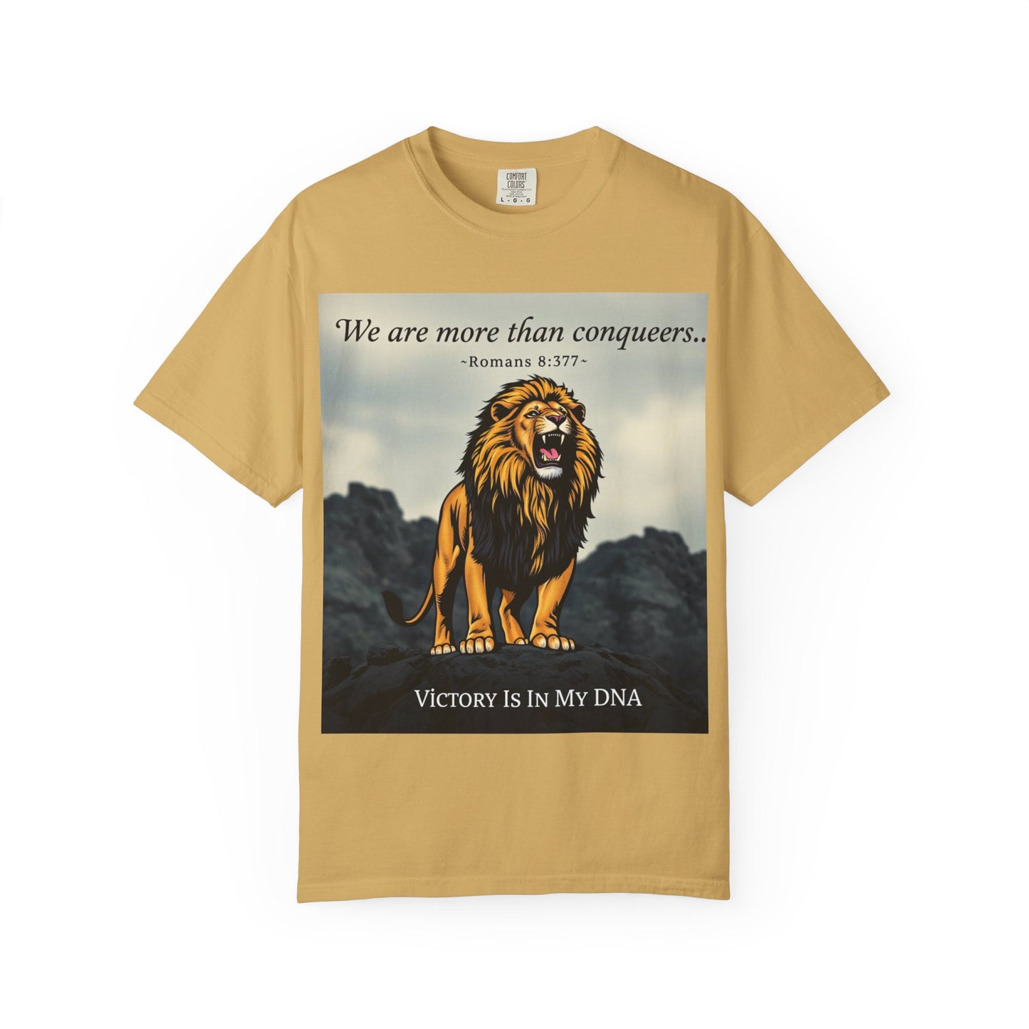 T-Shirt- Motivational/ Inspirational