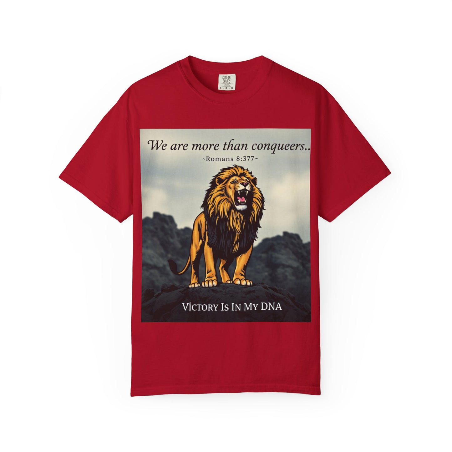 T-Shirt- Motivational/ Inspirational